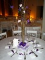 /album/decora%c3%a7%c3%a3o%20festa/imagem-2441-jpg1/